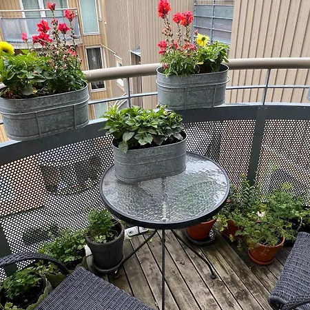 Fjordgata I Trondheim